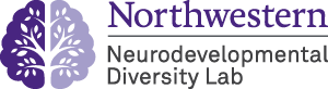 Northwestern NDL Logo