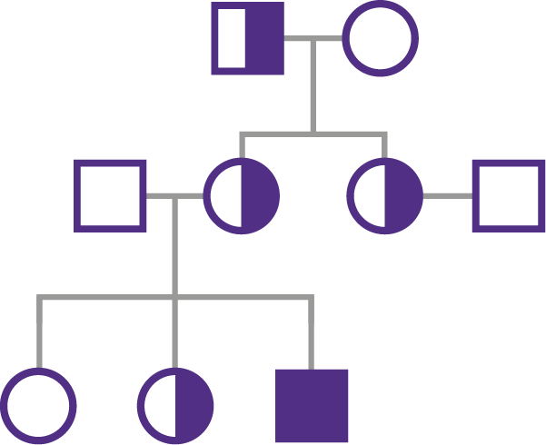 pedigree-large